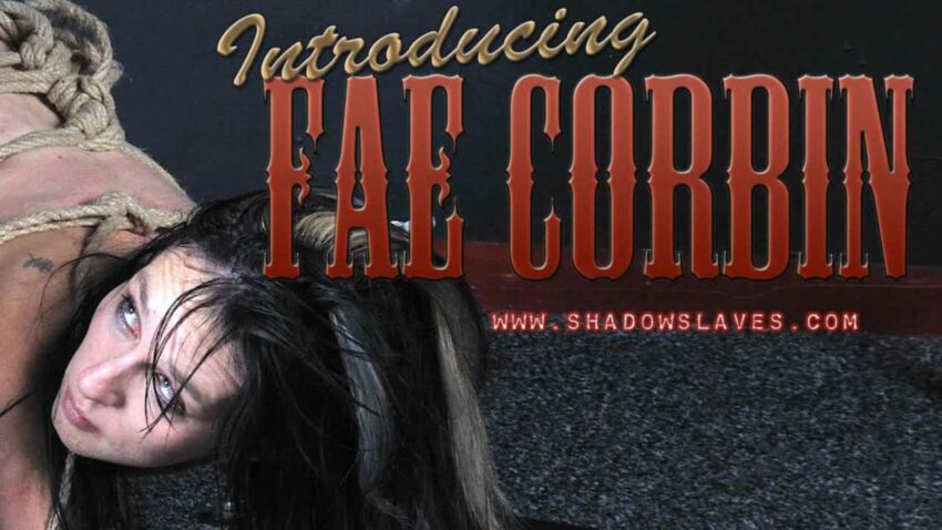 [75,08 GB] [ShadowSlaves.com] Escravos das sombras (160 clipes) [2003-2012 g, BDSM, Bondage, Eletrotortura, Punição, Palmadas, Chicotadas, Cera]