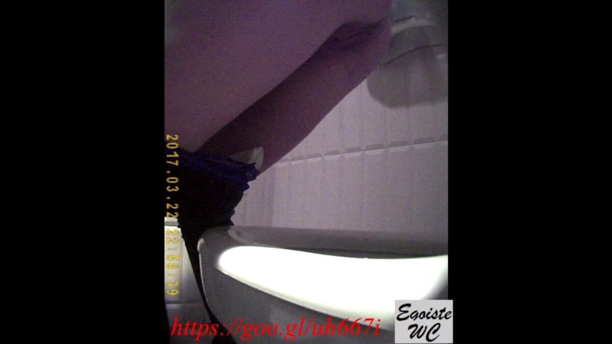 [18.28 GB] [EgoisteWC.com] A collection of videos from Egoist, Peeping on girls in the toilet (48 videos) (Egoiste) - part1 (new material) [2016-2017 biennium, Voyeur, Spycam, Peeing, Toilet, 720p, 1080p. , HDRip)