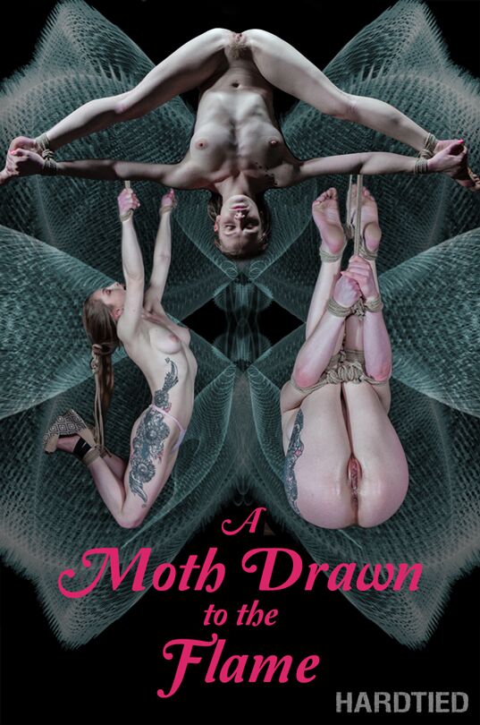 [2,12 GB] [Hardtied.com] Cora Moth (A Moth Drawn to the Flame / 13.02.2019) [2019, BDSM, Bondage, Erniedrigung, Folter, Spielzeug, 720p]