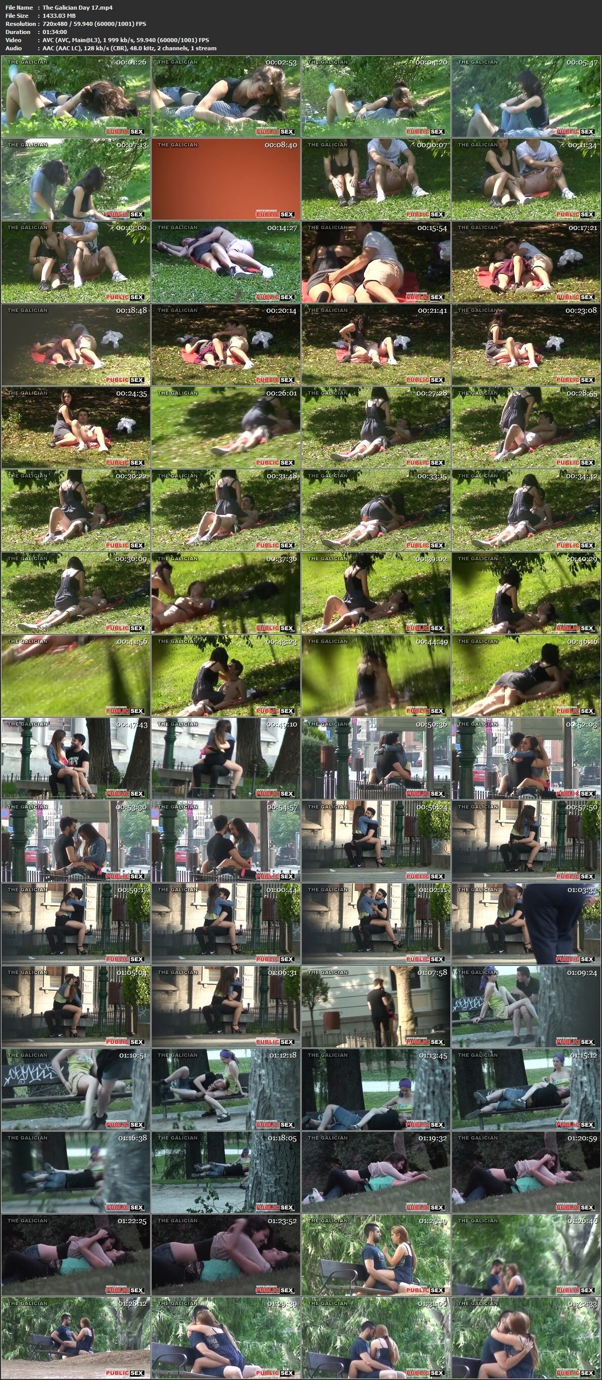 [8,44 GB] [videospublicsex.com] Der galizische Tag 14-15-16-17-18-19 [2016, Voyeur, CamRip]