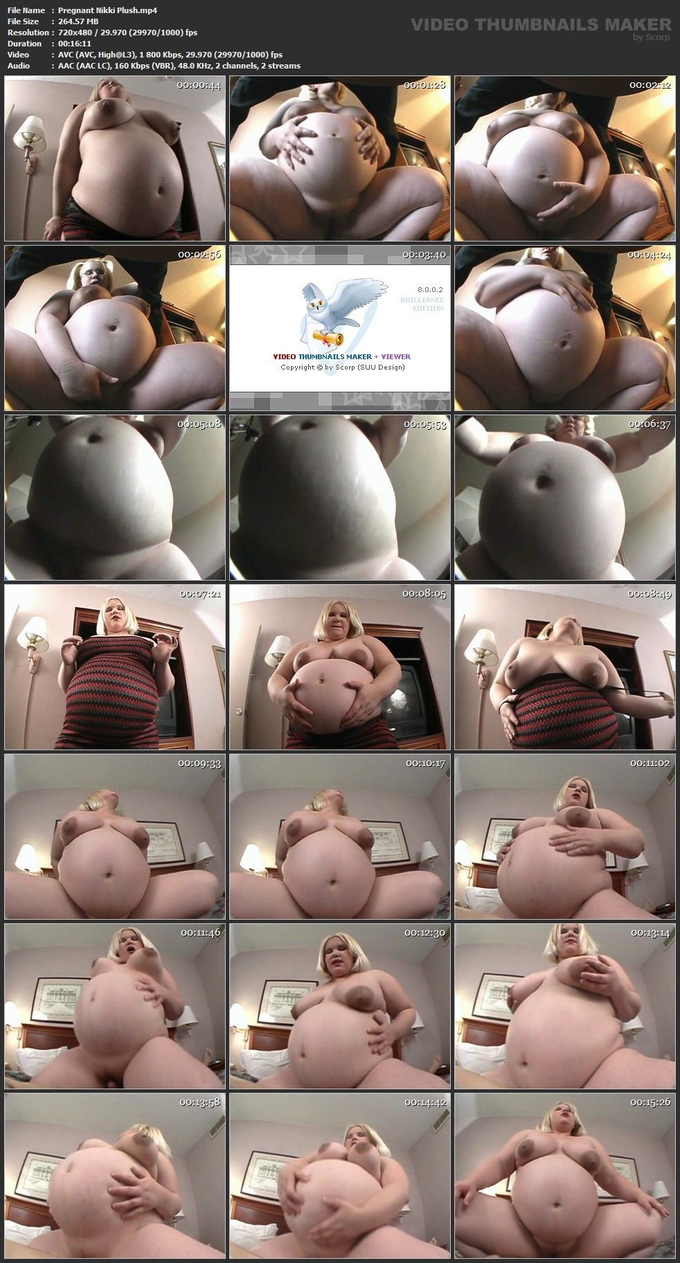 [848 MB] Pregnant Divas 1 / Pregnant Device 1 (ISR Films / Belly Vision) [BBW, Embarazada, Sexo duro, Todo sexo, Web-DL]