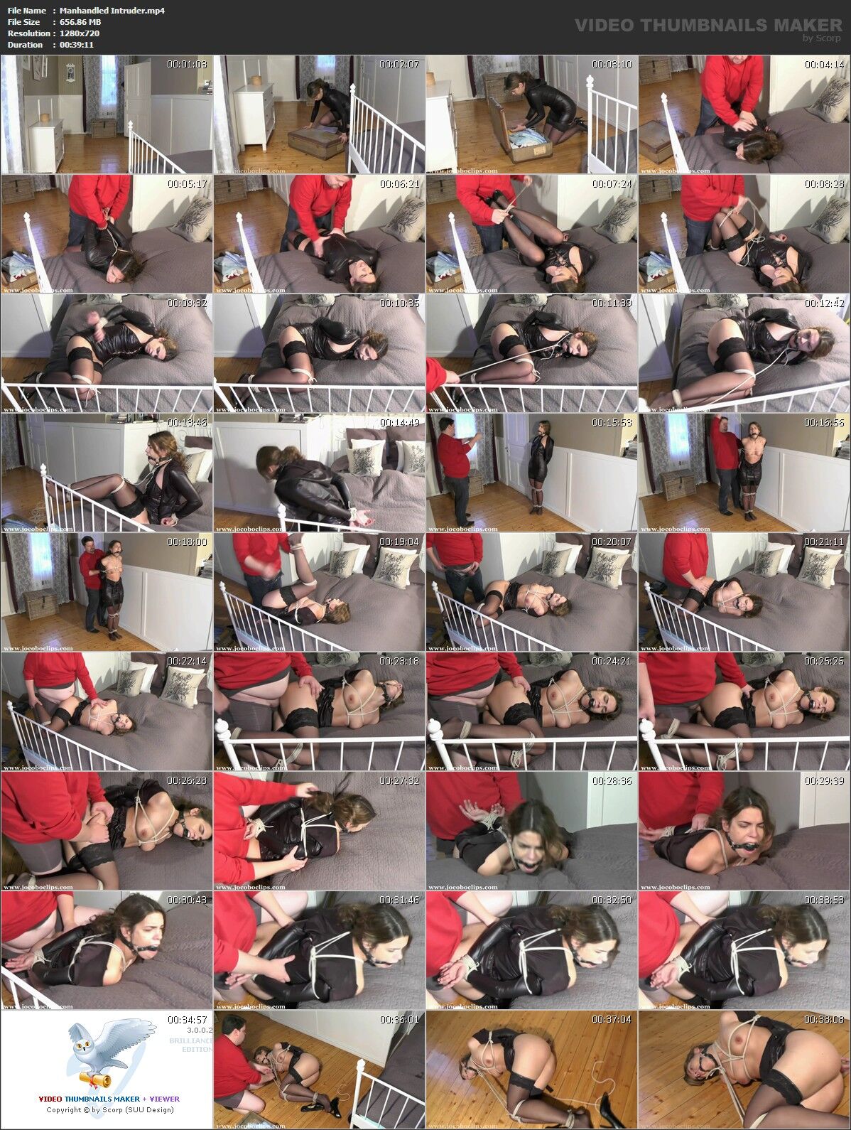 [657 MB] Manhandled Intruder / Rough Handling with Unanimous Guest (Juliette Captured and In Distress) [2015, Bondage, Bondage Sex, HDRip, 720p]