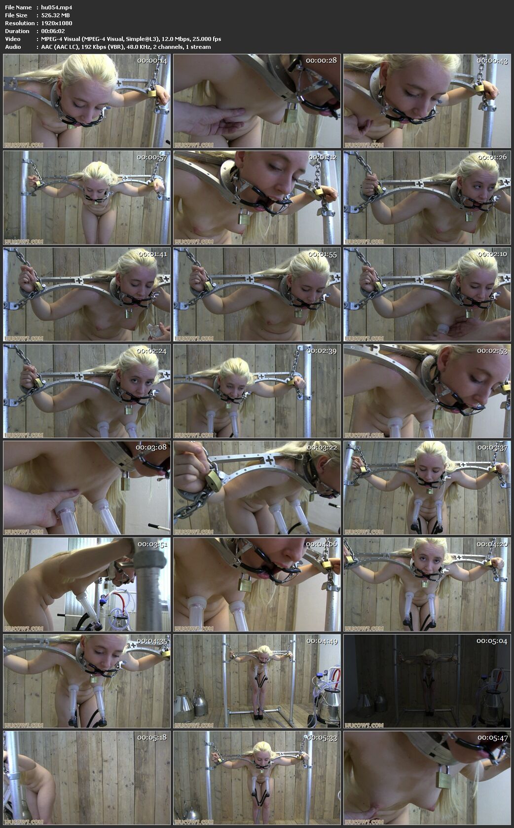 [526 MB] [Hucows.com] Vina - Daily Session [09.01.2016, BDSM, Bondage, Pumping, 1080p, SiteRip]