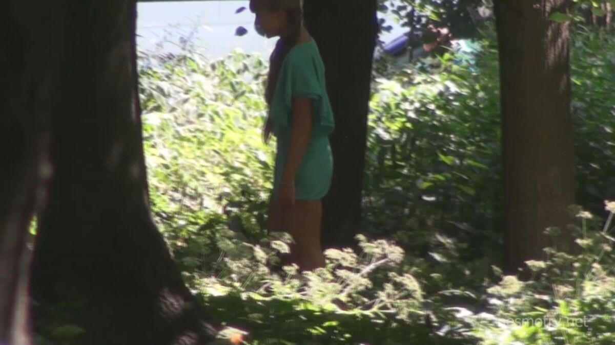 [3.73 GB] [Nesmotry.net] (28 rollers) Pissa in Nature [2013, Reeing, Voyeur, Spycam, SiteRip 1080p]