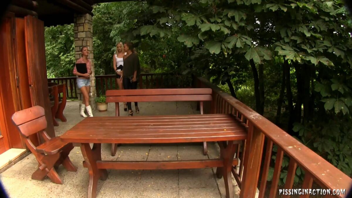 [770 MB] [PissingInAction.net / Tainster.com] Victoria Puppy, Nessy y Cayla Lyons - Orinando durante toda la reunión de negocios [SiteRip / 720p / 05/09/2014, Al aire libre, Rubia, Tetas naturales, Tetas pequeñas, Trío, 