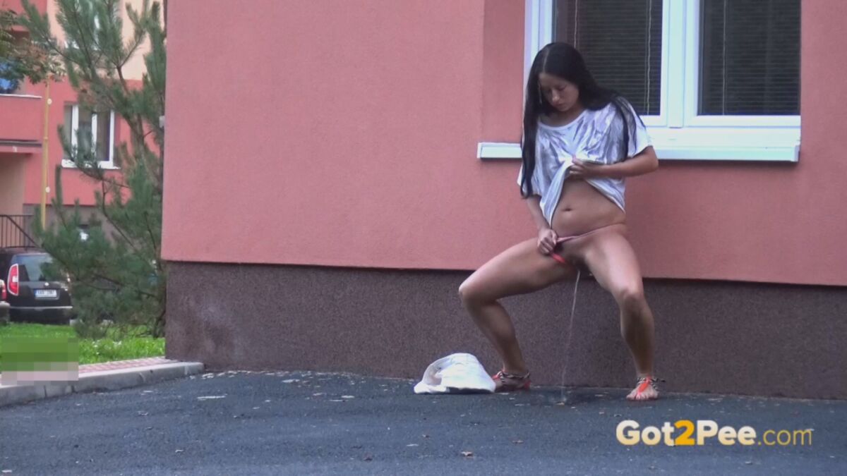 [7,71 GB] [Got2pee.com] Küken auf der Straße belästigt (60 Videos) [2015, Teenager, Pissen, Outdoor, 1080p, HDRip]