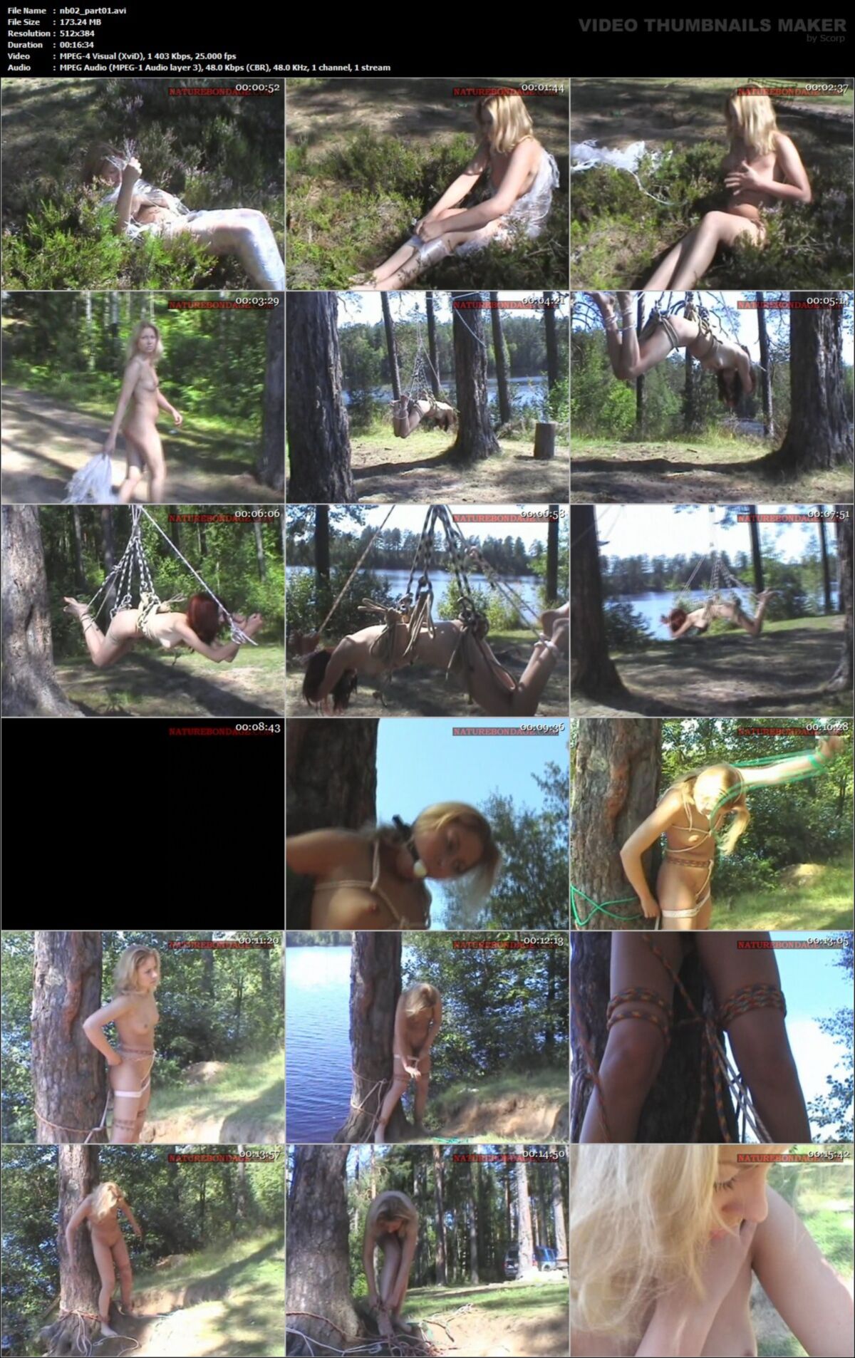 [1,49 Go] [NatureBondage.com] Bondage in Nature (11 rouleaux) [2004, Bondage, Fessée, Russe]