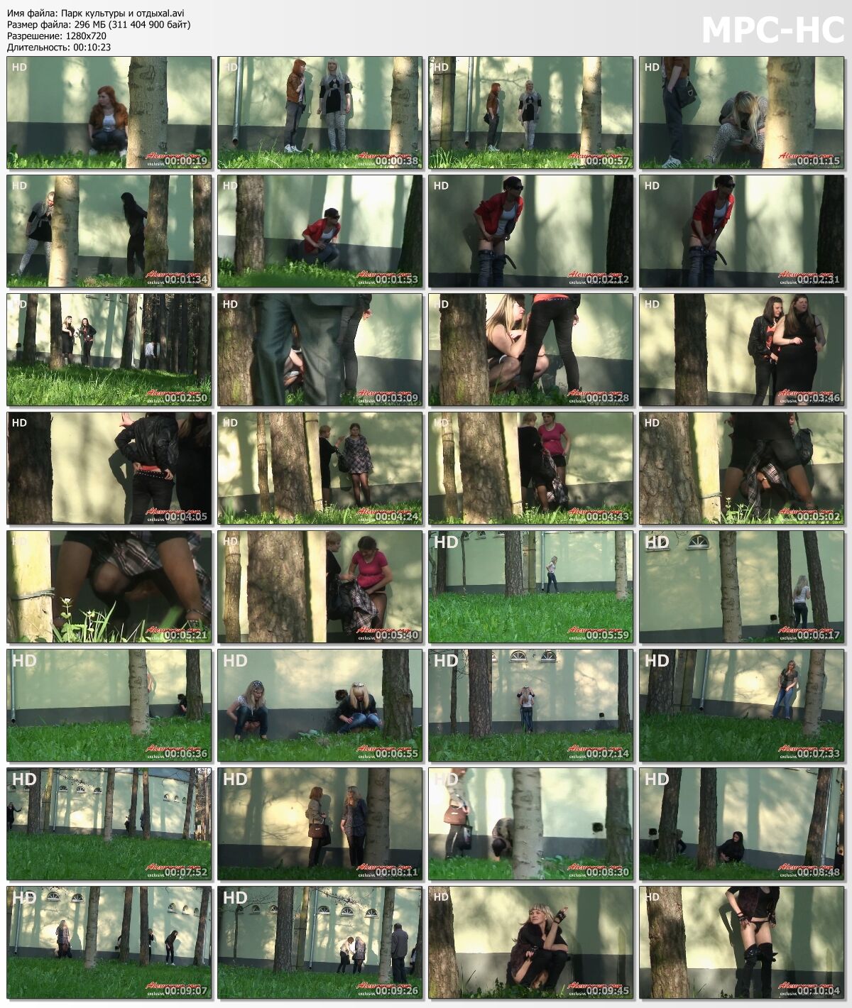 [297 MB] [Alexvoyeur.com] Chicas orinan en el parque de cultura y recreación [2011, Orinar, Voyeur, 720p]