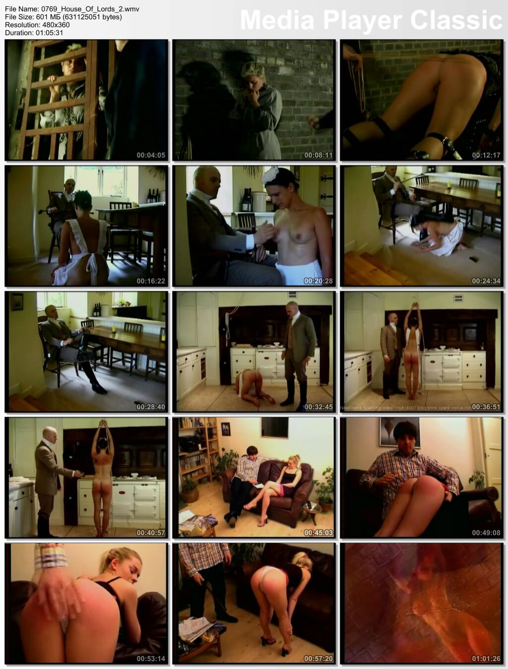 [602 MB] House Of Lords 2 / Lord House 2 (Underground Video.tv) [BDSM (azotes, humillación, castigo), DVDRip]