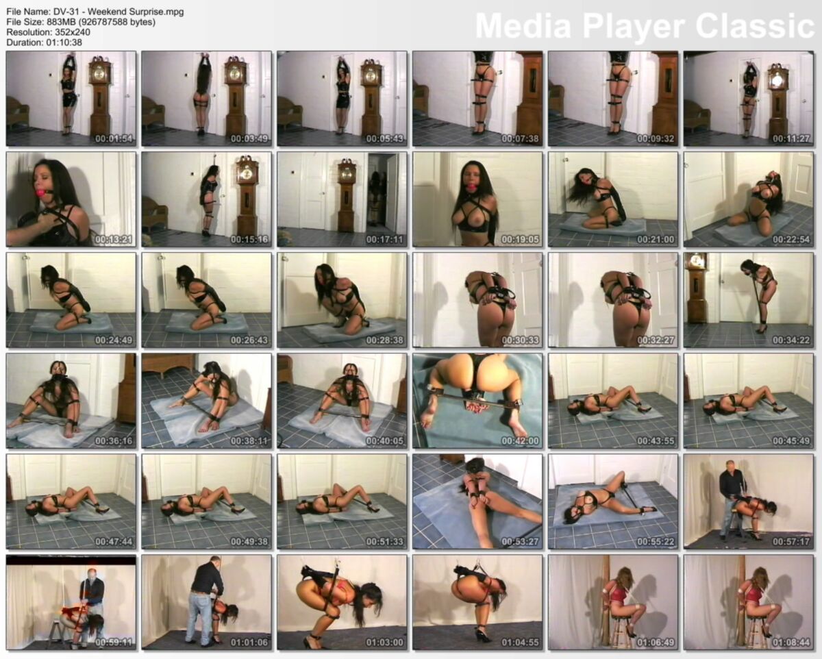 [884 MB] [HarmonyConcepts.com] Sorpresa de fin de semana DV-31 / Vacaciones sorpresa (Bryan Davis, Harmony Concepts, Ariele Cole, Devonshire Productions) [1996 g., BDSM]