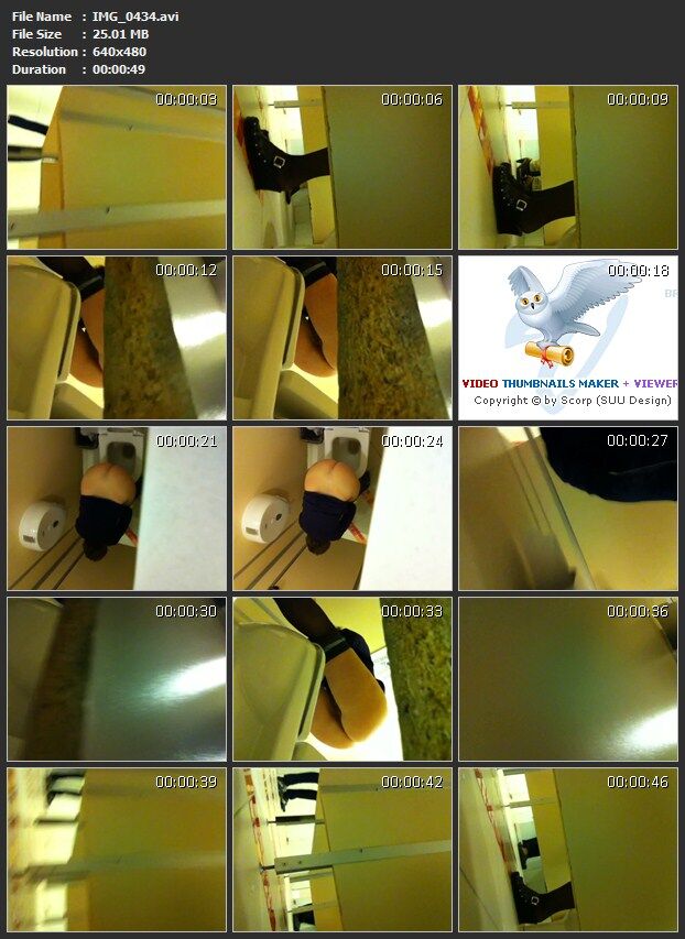 [191 MB] [おしっこ、盗撮] (ローラー 10) / トイレの隠しカメラ [2012 g.、おもらし、CamRip]