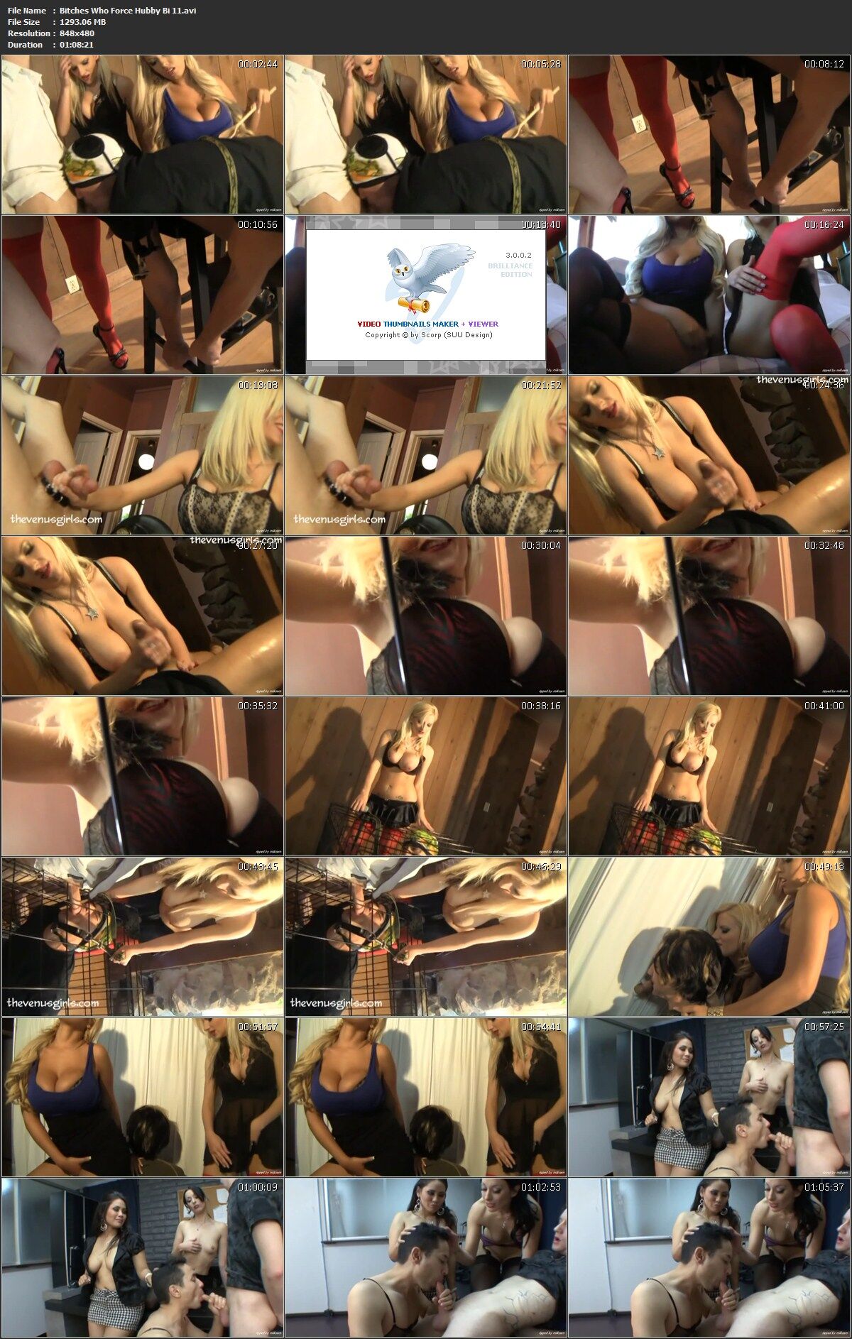 [1,26 GB] Bitches Who Force Hubby Bi 11 / Hündinnen, die Männer zum Bi-Sex 11 führen (Venus Girls) [2011, Femdom, Demütigung, Cuckold, Kunilingus, DVDRip]