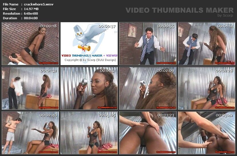 [154 MB] meanamazonbitches.com - Nyomi Banxxx (Crackwhore Slave) / Slave crack (David Christopher também conhecido como Pussyman, MBIT) [2007, femdom, facesitting, assworship, SiteRip]