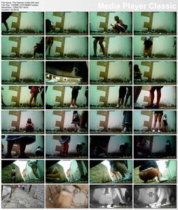 [1,43 Go] [Videospublicsex.com, Voyeurismopublicsex.com] The Galician - Girls Gotta Go (Edition 240) / Galicia (Numéro 240) [2020 g., Voyeur, Spycamera, Peeing, Outdoor, Public, 720p, HDRip]