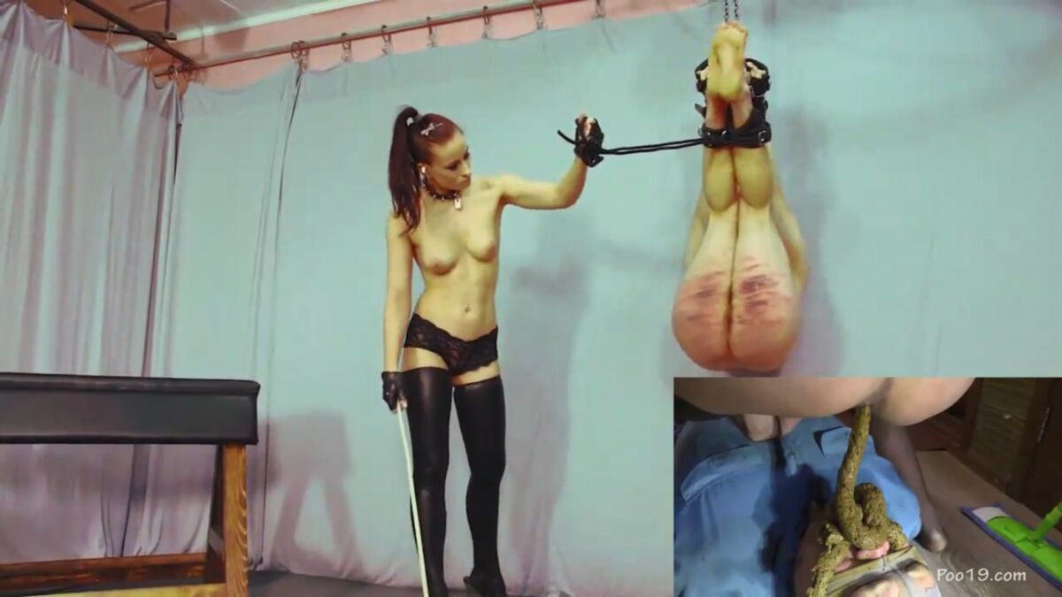 [Femdomempire.com, Poo19.com, Cruelpunishment.com] Animal miserable./ Animal de piel.[2021, Compilación, Dominación femenina, Azotes, Látex, Bondage, Arnés, Pegging, Anal, Castidad, Scat, Comer mierda, Humillación, 