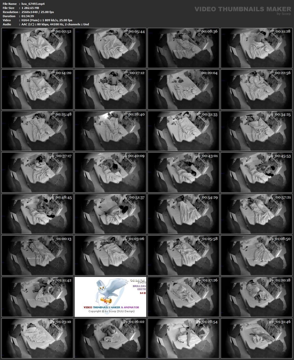 [95,04 GB] Pacote de edição asiática de zona oculta 343, 30 de maio de 2024 (150 clipes)